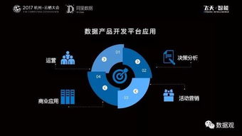 阿里数据服务产品开发及大数据体系实录 从平台构建到服务赋能